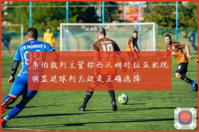 韦伯裁判主管称西汉姆对拉亚犯规明显进球判无效是正确选择